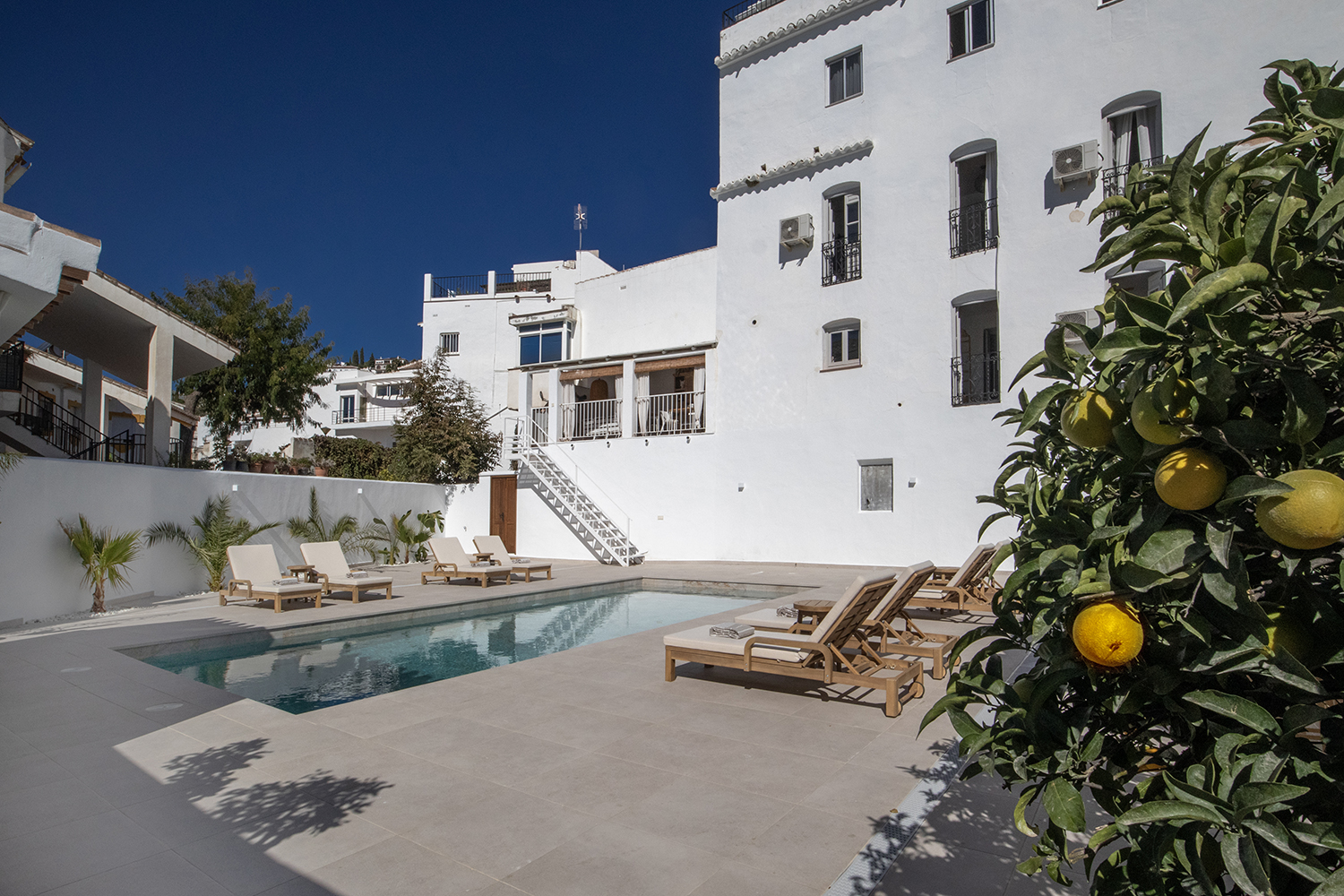 The salt-water pool, with the citrus tree framing the right of the garden.