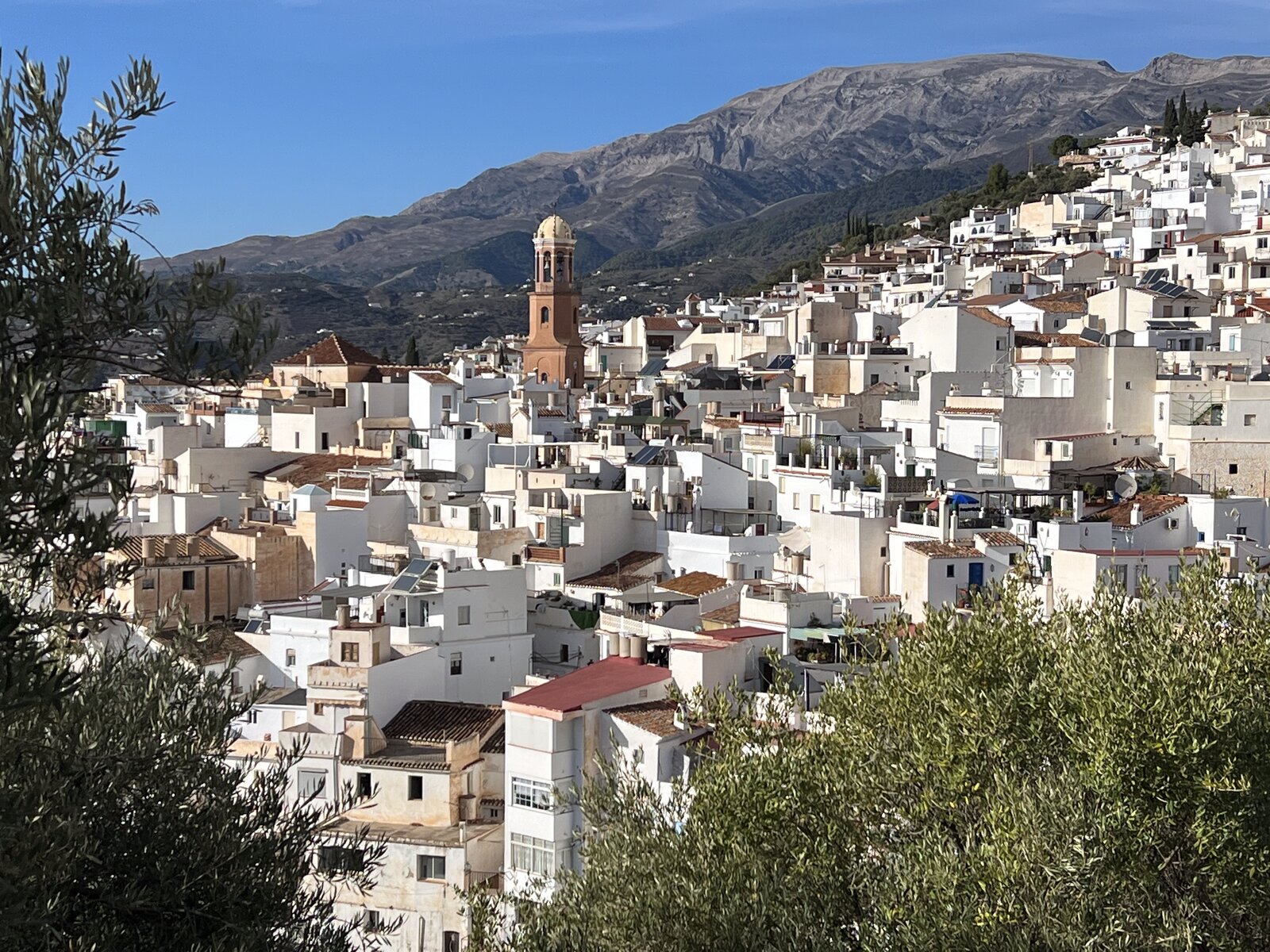 The white-washed houses of Cómpeta and the church tower of La Asunción, with the Sierra de Almijara rising behind.